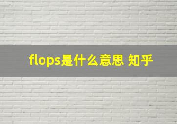 flops是什么意思 知乎